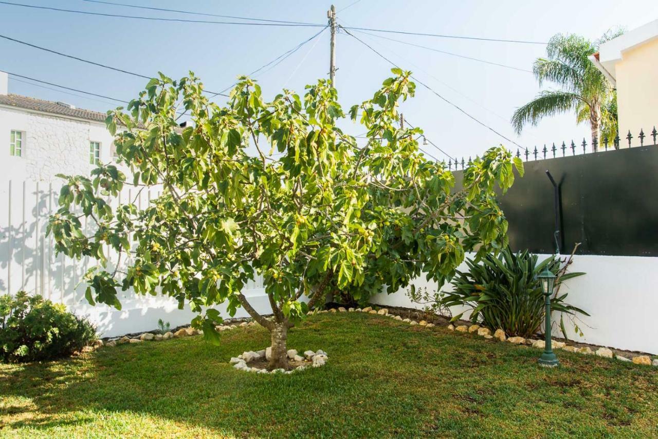 Casa da Quintinha - Villa with a pool Sesimbra Esterno foto